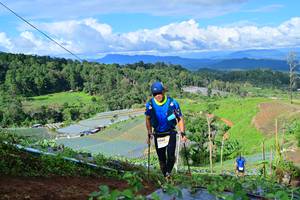 BIB: 
                            <button type="button" onclick="openModal(13382734)" class="btn btn-primary btn-sm float-right btn-popup" data-toggle="modal" data-target=".modal-high-quality">
                        <i class="fas fa-shopping-cart"></i> Add to Cart
                    </button>
                                            <button type="button" onclick="isThisMe(13382734, true)" class="btn btn-success btn-sm float-right btn-popup btn-isme hidden" data-toggle="tooltip" data-placement="bottom" title="นี่คือรูปของคุณใช่ไหม คลิกที่นี่เพื่อเอาเข้าอัลบั้ม">
                        <i class="fas fa-plus"></i> Add to album
                    </button>
                    <button type="button" onclick="isThisMe(13382734, false)" class="btn btn-warning btn-sm float-right btn-popup btn-isnotme hidden">
                        <i class="fas fa-ban"></i> Remove from album
                    </button>